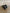 AXB Direct Mount